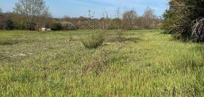 Terrain seul à Gaillac en Tarn (81) de 2673 m² à vendre au prix de 85000€ - 4