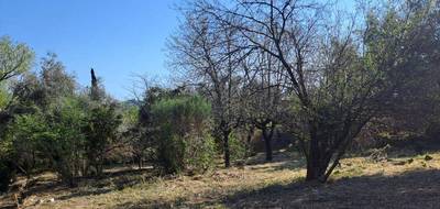 Terrain seul à Tourrette-Levens en Alpes-Maritimes (06) de 1000 m² à vendre au prix de 250000€ - 4