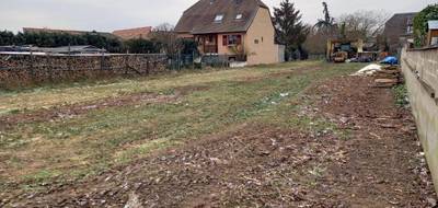 Terrain seul à Sainte-Croix-en-Plaine en Haut-Rhin (68) de 590 m² à vendre au prix de 158500€ - 3