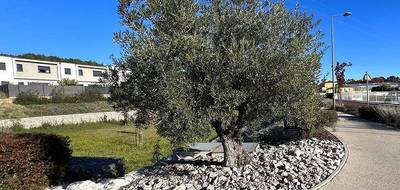 Programme terrain + maison à Grabels en Hérault (34) de 110 m² à vendre au prix de 540000€ - 4