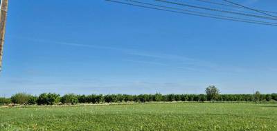 Terrain seul à Taillecavat en Gironde (33) de 1970 m² à vendre au prix de 39500€ - 3