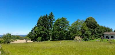 Terrain seul à Saint-Martin-Terressus en Haute-Vienne (87) de 1245 m² à vendre au prix de 35000€ - 1