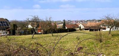 Terrain seul à Durlinsdorf en Haut-Rhin (68) de 3000 m² à vendre au prix de 180000€ - 2