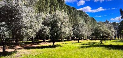 Programme terrain + maison à Lézignan-la-Cèbe en Hérault (34) de 95 m² à vendre au prix de 316000€ - 4