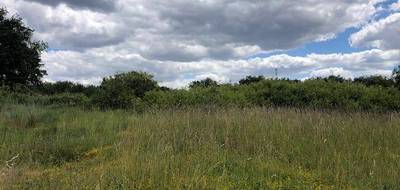 Programme terrain + maison à Bellevigne-les-Châteaux en Maine-et-Loire (49) de 72 m² à vendre au prix de 194566€ - 3