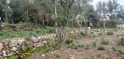 Terrain seul à Montfort-sur-Argens en Var (83) de 1200 m² à vendre au prix de 145000€ - 2