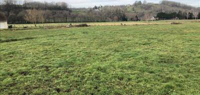 Terrain seul à Voutezac en Corrèze (19) de 2306 m² à vendre au prix de 23299€ - 3