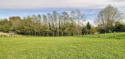 Terrain seul à Montfort-en-Chalosse en Landes (40) de 1500 m² à vendre au prix de 70500€ - 1