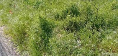 Terrain seul à Le Teich en Gironde (33) de 500 m² à vendre au prix de 230000€ - 2