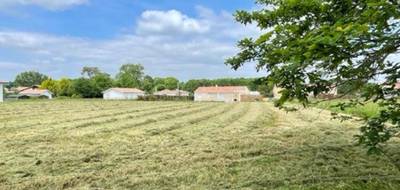 Terrain seul à Amou en Landes (40) de 1700 m² à vendre au prix de 37400€ - 1