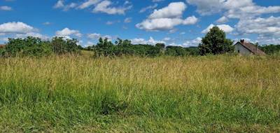 Terrain seul à Branceilles en Corrèze (19) de 1200 m² à vendre au prix de 26000€ - 3