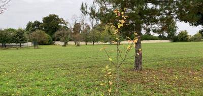 Terrain seul à Hiersac en Charente (16) de 700 m² à vendre au prix de 55000€ - 3