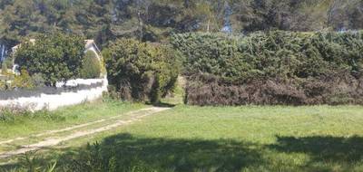 Terrain seul à Fontvieille en Bouches-du-Rhône (13) de 920 m² à vendre au prix de 320000€ - 3