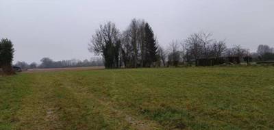 Programme terrain + maison à Moyaux en Calvados (14) de 229 m² à vendre au prix de 526500€ - 4