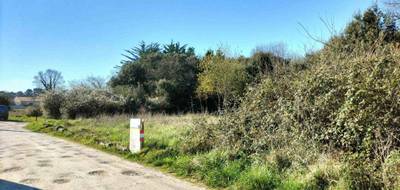 Programme terrain + maison à Dolus-d'Oléron en Charente-Maritime (17) de 65 m² à vendre au prix de 186101€ - 3