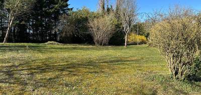 Programme terrain + maison à Poincy en Seine-et-Marne (77) de 125 m² à vendre au prix de 419000€ - 4