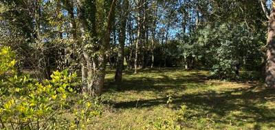 Terrain seul à Gaillan-en-Médoc en Gironde (33) de 1190 m² à vendre au prix de 74000€ - 2