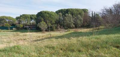 Programme terrain + maison à Roquebrune-sur-Argens en Var (83) de 100 m² à vendre au prix de 463000€ - 3