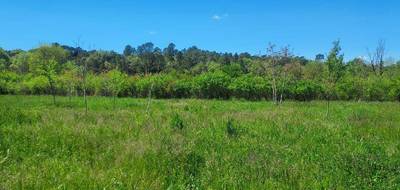 Terrain seul à Tourves en Var (83) de 1000 m² à vendre au prix de 142000€ - 2