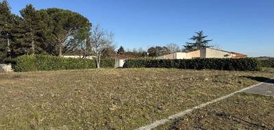 Terrain seul à Baziège en Haute-Garonne (31) de 976 m² à vendre au prix de 170000€ - 2