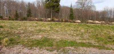 Terrain seul à Feytiat en Haute-Vienne (87) de 723 m² à vendre au prix de 90000€ - 1
