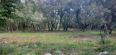 Terrain seul à Sainte-Anastasie-sur-Issole en Var (83) de 957 m² à vendre au prix de 161000€ - 1