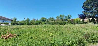 Terrain seul à Metz en Moselle (57) de 643 m² à vendre au prix de 195000€ - 2