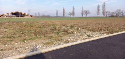 Terrain seul à Balgau en Haut-Rhin (68) de 450 m² à vendre au prix de 76500€ - 3