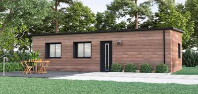 Programme terrain + maison à Saint-Pierre-Quiberon en Morbihan (56) de 69 m² à vendre au prix de 293000€ - 1