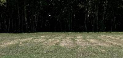 Programme terrain + maison à Sainte-Hermine en Vendée (85) de 80 m² à vendre au prix de 176340€ - 4