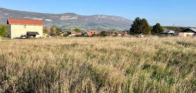 Terrain seul à Valserhône en Ain (01) de 556 m² à vendre au prix de 135000€ - 3