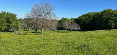 Terrain seul à Sarlat-la-Canéda en Dordogne (24) de 3500 m² à vendre au prix de 68200€ - 1