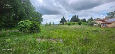 Terrain seul à Fauch en Tarn (81) de 1282 m² à vendre au prix de 57690€ - 3