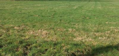 Programme terrain + maison à Juvigny Val d'Andaine en Orne (61) de 125 m² à vendre au prix de 299660€ - 3