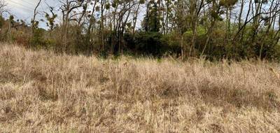 Terrain seul à Montboucher-sur-Jabron en Drôme (26) de 925 m² à vendre au prix de 189900€ - 4