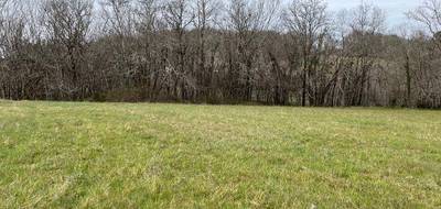Terrain seul à Carlux en Dordogne (24) de 2573 m² à vendre au prix de 35000€ - 1