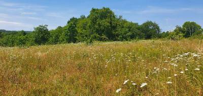 Terrain seul à Gauriaguet en Gironde (33) de 1140 m² à vendre au prix de 83000€ - 1