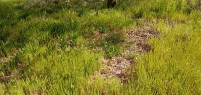 Terrain seul à Ychoux en Landes (40) de 750 m² à vendre au prix de 95000€ - 2