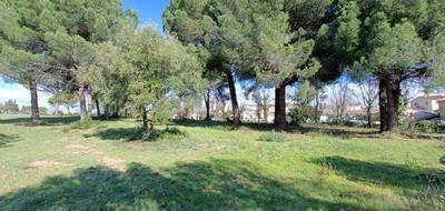 Terrain seul à Le Muy en Var (83) de 1018 m² à vendre au prix de 245000€ - 4