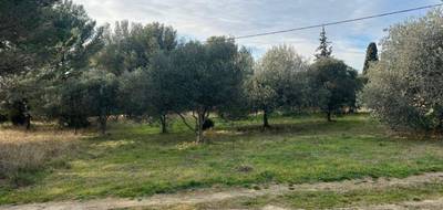 Terrain seul à Cheval-Blanc en Vaucluse (84) de 700 m² à vendre au prix de 195000€ - 2