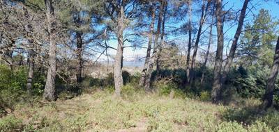Terrain seul à Plan-d'Aups-Sainte-Baume en Var (83) de 296 m² à vendre au prix de 146500€ - 1