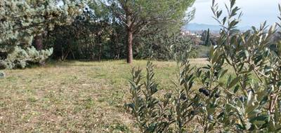 Programme terrain + maison à Roquebrune-sur-Argens en Var (83) de 75 m² à vendre au prix de 486000€ - 4