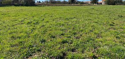 Terrain seul à Tesson en Charente-Maritime (17) de 589 m² à vendre au prix de 47120€ - 1