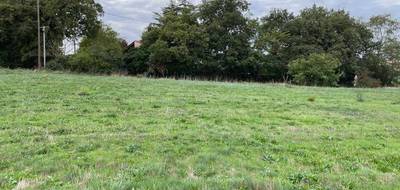 Programme terrain + maison à Labruguière en Tarn (81) de 86 m² à vendre au prix de 200599€ - 4