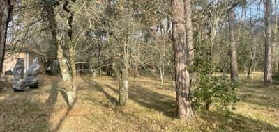 Terrain seul à Plan-d'Aups-Sainte-Baume en Var (83) de 160 m² à vendre au prix de 124000€ - 1