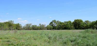 Terrain seul à Galargues en Hérault (34) de 500 m² à vendre au prix de 179900€ - 2