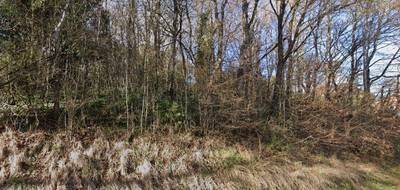Terrain seul à Caujac en Haute-Garonne (31) de 900 m² à vendre au prix de 69000€ - 4