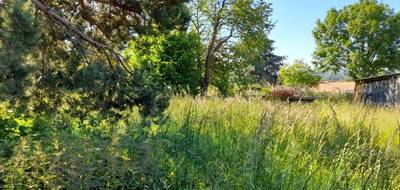 Terrain seul à Saint-Just-le-Martel en Haute-Vienne (87) de 1515 m² à vendre au prix de 74000€ - 1