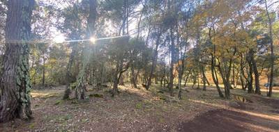 Terrain seul à Salernes en Var (83) de 758 m² à vendre au prix de 99000€ - 1