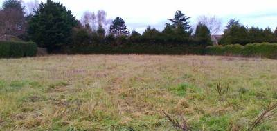 Programme terrain + maison à Angerville en Essonne (91) de 110 m² à vendre au prix de 280000€ - 3